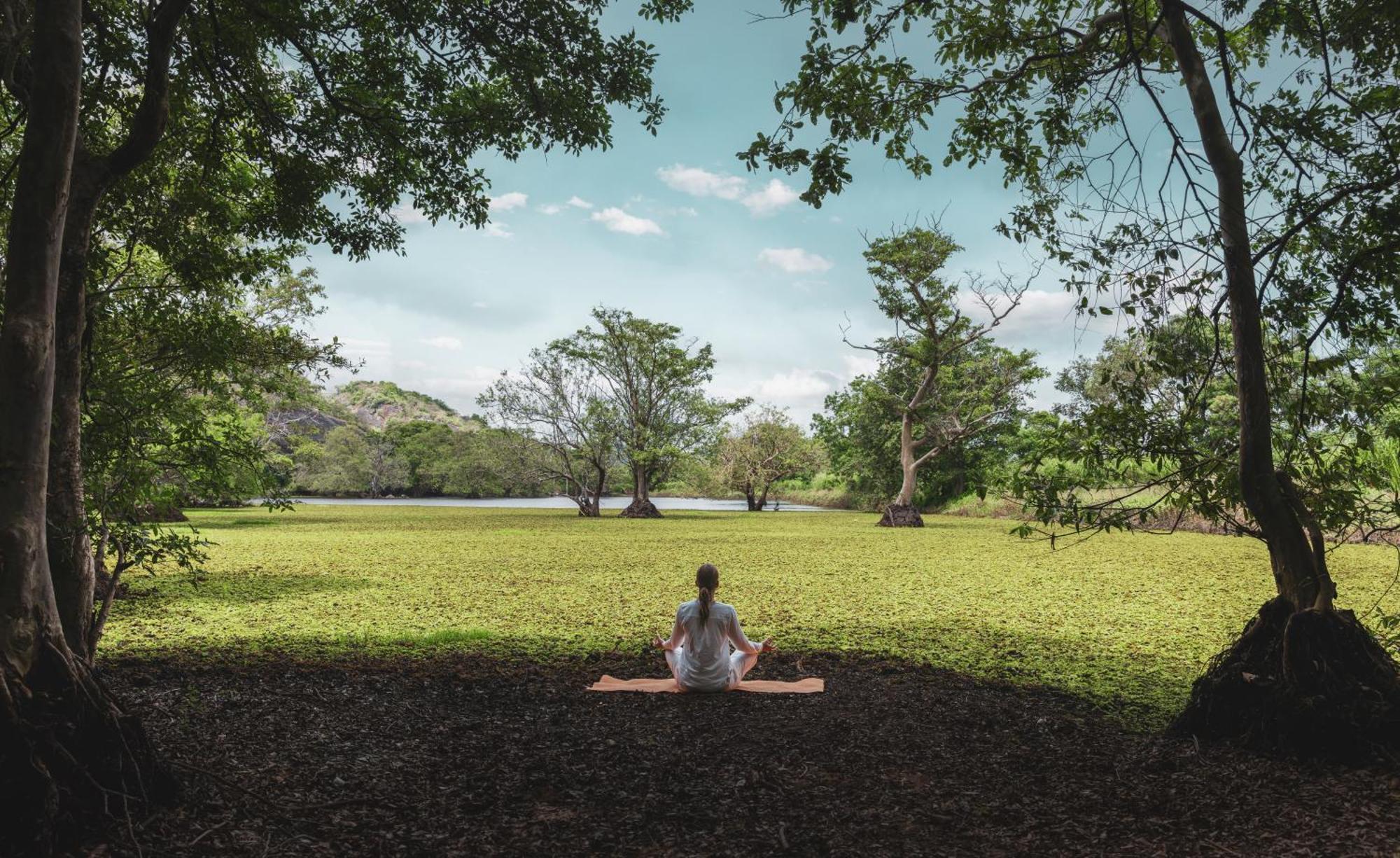 Ayugiri Ayurveda Wellness Resort Сигирия Екстериор снимка